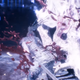 Illustration for article titled iHellblade/is Fenrir Encounter Belongs In The Pantheon Of Great Boss Fightsem/em